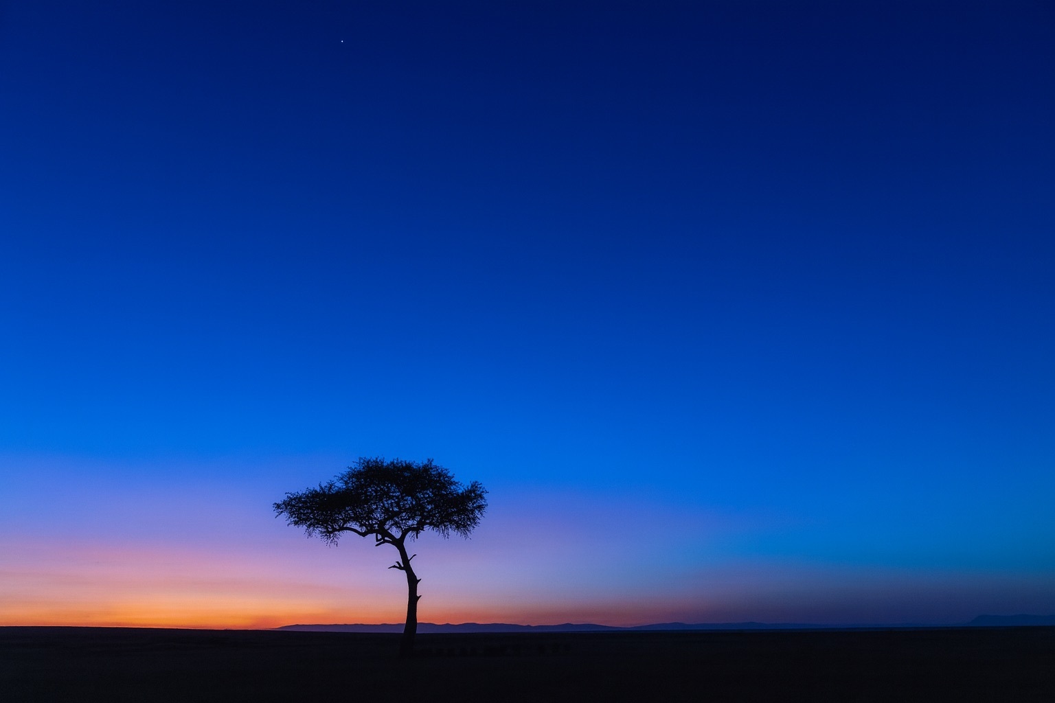Einsamer Baum in einer weiten Landschaft, silhouettiert vor einem farbenprächtigen Sonnenuntergang mit tiefblauem Himmel, der ins Orange und Violett am Horizont übergeht.